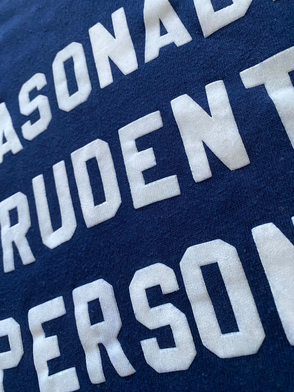 70s "reasonably prudent person" flocked sweatshirt